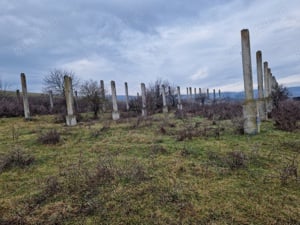 Teren 10000 mp intravilan la 40 km de Cluj-Napoca  - imagine 6