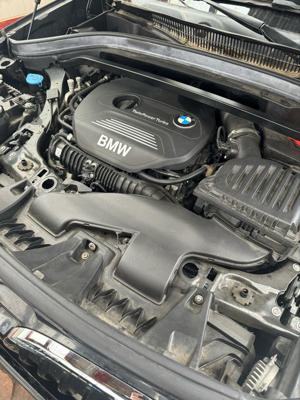 X1 x drive 2.0 b - imagine 6