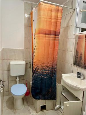 Apartament o camera de inchiriat in zona Fortuna   Vlaicu - imagine 5