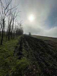 Vand teren in Ceacu situat pe strada parcului