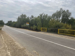 Teren 4200mp Gorgota-Crivina jud.Dambovita toate utilitatile - imagine 5