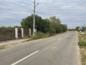 Teren 4200mp Gorgota-Crivina jud.Dambovita toate utilitatile - imagine 4