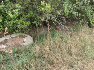 Teren 4200mp Gorgota-Crivina jud.Dambovita toate utilitatile - imagine 8