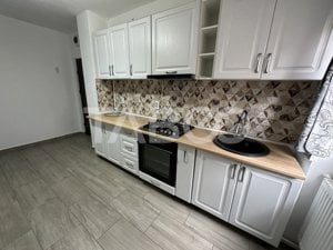 Apartament de vanzare recent renovat 2 camere beci de depozitare - imagine 6