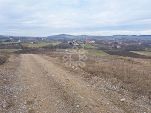 Teren extravilan 4922 mp de vanzare in Lugasu de jos