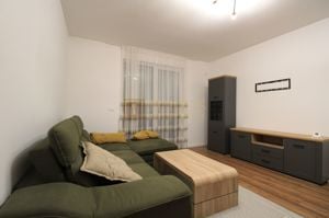 2 camere + terasa de 80 de metri/curte proprie.  Pets friendly. - imagine 10