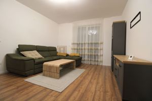 2 camere + terasa de 80 de metri/curte proprie.  Pets friendly. - imagine 12