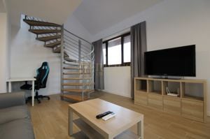 LOFT amenajat modern, 2 bai. Zona de sud. - imagine 9