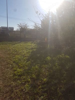 Servicii spatii verzi  defrisari terenuri