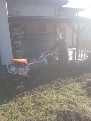 Servicii spatii verzi  defrisari terenuri