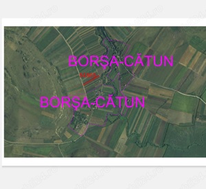 Teren Borsa - imagine 2