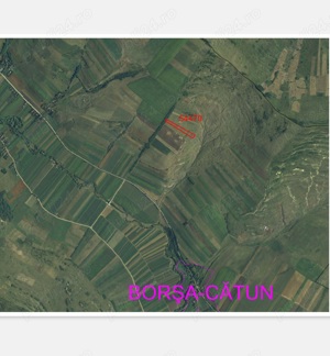 Teren Borsa - imagine 3