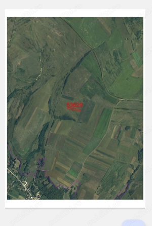 Teren Borsa - imagine 5