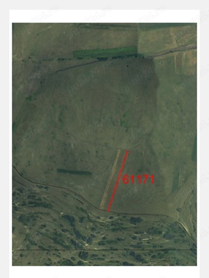 Teren Borsa - imagine 4