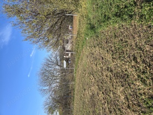 Vand 3.800 mp  Teren Intravilan  - imagine 5