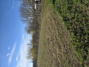 Vand 3.800 mp  Teren Intravilan  - imagine 4