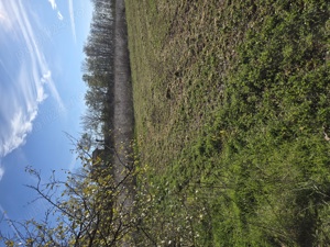 Vand 3.800 mp  Teren Intravilan  - imagine 3