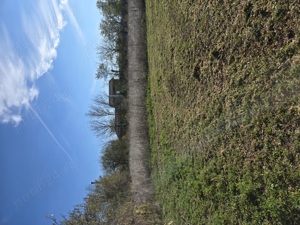 Vand 3.800 mp  Teren Intravilan  - imagine 2