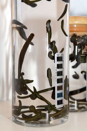 Comanda Lipitori Medicinale - trimitem oriunde in Romania! - imagine 2