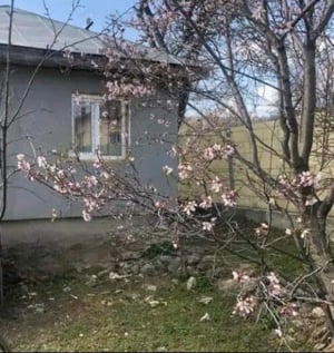 Casă De Vânzare În Călugăreni Prahova Aproape De Mizil Ploiesti ! - imagine 4