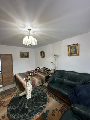 Apartament 1 camera- Curte privata - imagine 2