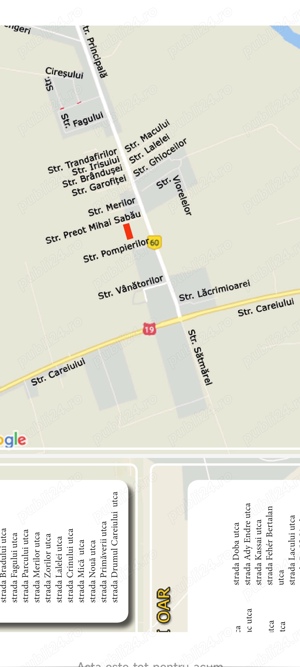 Teren intravilan la intrare in Vetis 7 arii - imagine 5