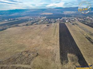 11.600 mp in Sfantu Gheorghe – deschidere: agroturism, investitie, ferma, comercial - imagine 5