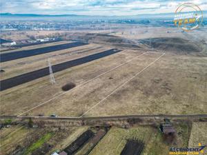 11.600 mp in Sfantu Gheorghe – deschidere: agroturism, investitie, ferma, comercial - imagine 3