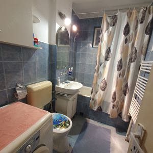  Inchiriere apartament cu 3 camere în Dâmbu Pietros - imagine 9