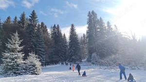 teren de vanzare Poiana Brasov 1,93ha - imagine 4