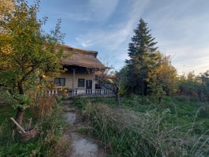 Teren intravilan si casa la tara de vanzare in sat Cerbu, comuna Albota, judet Arges - imagine 2