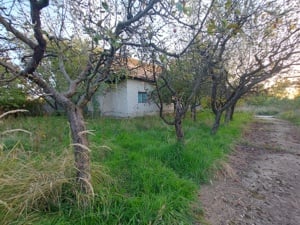 Teren intravilan si casa la tara de vanzare in sat Cerbu, comuna Albota, judet Arges - imagine 7