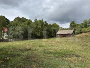 Casă la munte, 15000 mp teren, zona Zlatna - Almasu - imagine 7