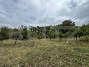 Casă la munte, 15000 mp teren, zona Zlatna - Almasu - imagine 15