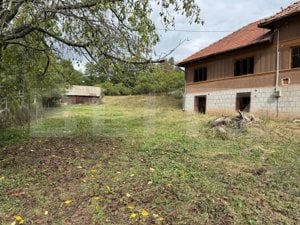 Casă la munte, 15000 mp teren, zona Zlatna - Almasu - imagine 2