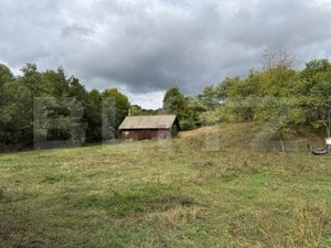 Casă la munte, 15000 mp teren, zona Zlatna - Almasu - imagine 5