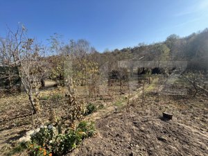 Casa de 160 mp utili, cu 750 mp de teren, in Cosoveni  - imagine 14