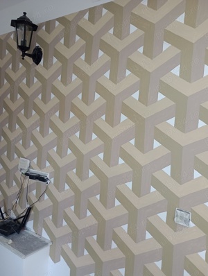 Zugrăveli deosebite 3D și în relief 