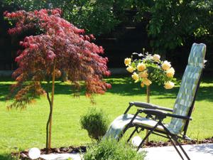 Gradinar profesionist