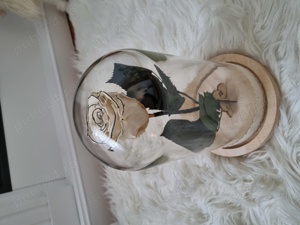 Trandafir criogenat ! 