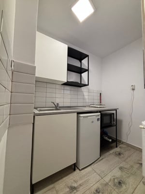 INCHIRIERE - Apartament 1 camera, pe B-dul Take Ionescu - COMISION 0% - imagine 6