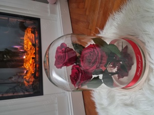 Trandafiri criogenati ! 