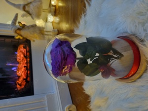 Trandafir criogenat ! 