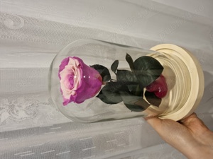 Trandafir criogenat ! 