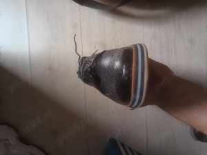 Pantofi Casual Business Wingtip Brogue Formal Dress Oxfords Wedding Party Derby, SIze 43 - imagine 2