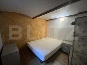 Apartament 6 camere, 160 mp, zona Iosefin - imagine 13