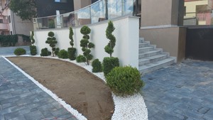 Gradini la cel mai bun preț  - imagine 5