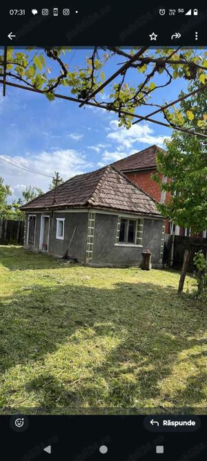 Casa de vînzare comuna Cociuba mare sat Petid județul Bihor 3 camere hol și cămară + dependinte - imagine 3