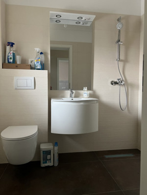 Duplex, 4 camere, 290mp teren, 125mp utili, curent trifazic -  Sacalaz - imagine 13