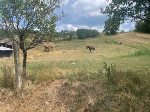 Vand casa 5 camere, teren 3641 mp, loc. Bogata, jud. Mures, la 8 km de orasul Ludus - imagine 3